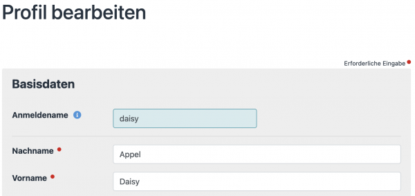 Anmeldenamen eintragen